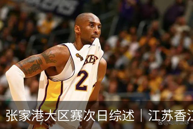 张家港大区赛次日综述｜江苏香江猛虎逆袭 国手回归点燃赛场